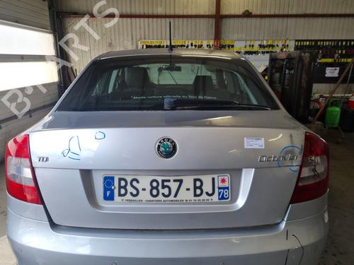 Tailgate SKODA OCTAVIA II (1Z3) 1.6 TDI 1Z5827025