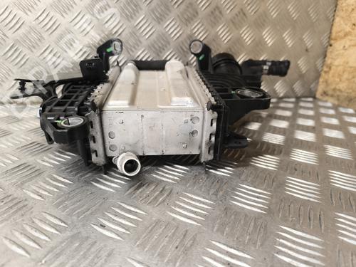 Intercooler RENAULT CLIO V (B7_) 1.5 Blue dCi 115 (B7AD) | BP30970512M30