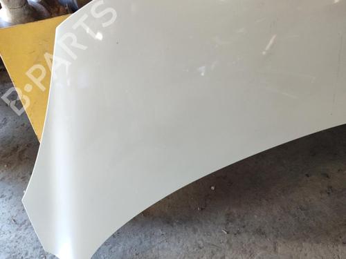 Hood RENAULT SCÉNIC III (JZ0/1_) 1.9 dCi (JZ0J, JZ1J, JZ1K, JZ1S) | BP21742032C1 