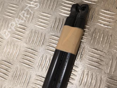 Tailgate lift support RENAULT CLIO IV (BH_) 1.5 dCi 90 | BP22556614C138 