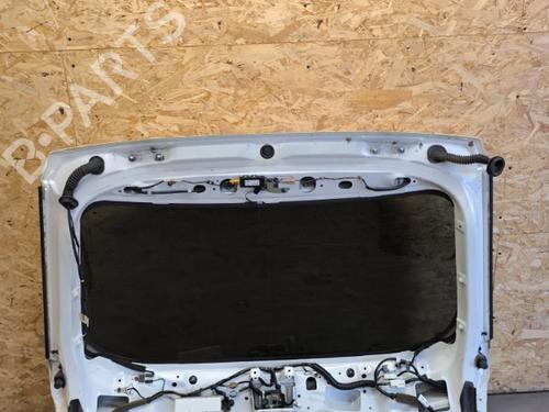 Tailgate RENAULT KOLEOS I (HY_) 2.0 dCi (HY0K) | BP21728881C6