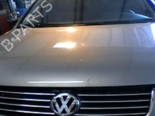 Used Hood VW PASSAT B5.5 (3B3) 1.9 TDI (130 hp) 21752487