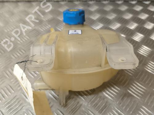 Expansion tank FIAT PUNTO EVO (199_) 1.3 D Multijet (199AXC1A, 199BXC1A, 199AXT1A, 199BXT1A) | BP22005672C120
