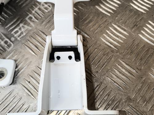 Hinge/Door check strap RENAULT KANGOO Express (FW0/1_) 1.5 dCi 75 (FW07, FW10, FW04) | BP23770791C146 