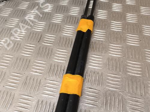 Tailgate lift support RENAULT SCÉNIC II (JM0/1_) 2.0 dCi (JM1K) 8200484674