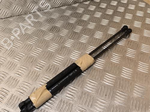 Used Hood lift support RENAULT MEGANE IV Hatchback (B9A/M/N_) 1.5 Blue dCi 115 (B9A6) (116 hp) 22016634