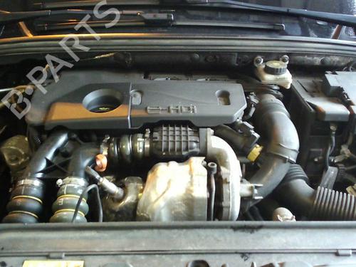 Steering pump PEUGEOT 308 I (4A_, 4C_) 1.6 HDi | BP21729212M99 