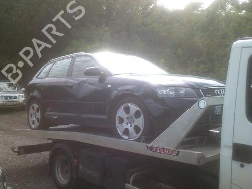 Steering column stalk AUDI A3 Sportback (8PA) 2.0 TDI 16V | BP21750893I23 