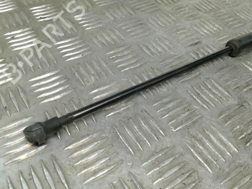 Hood lift support VW POLO IV (9N_, 9A_) 1.4 TDI | BP21734801C139 