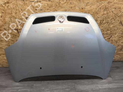 Used Hood RENAULT SCÉNIC I MPV (JA0/1_, FA0_) 1.9 dCi (JA05, JA1F) (102 hp) 29120331