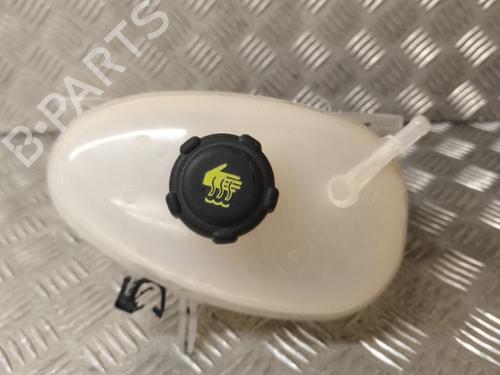 Used Expansion tank RENAULT TWINGO III (BCM_, BCA_) 0.9 TCe 90 (BCM9, BCM2) (90 hp) 21733922