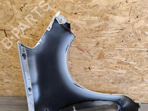 Left front fenders RENAULT CLIO III (BR0/1, CR0/1) 1.5 dCi (C/BR0G, C/BR1G) | BP21741601C41 