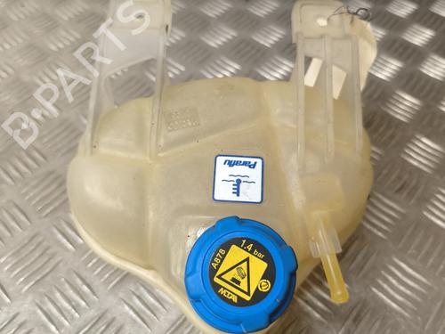 Used Expansion tank FIAT PUNTO EVO (199_) 1.3 D Multijet (199AXC1A, 199BXC1A, 199AXT1A, 199BXT1A) (75 hp) 22005672