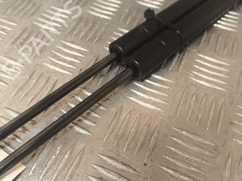 Tailgate lift support SEAT TOLEDO III (5P2) 1.9 TDI | BP21729598C138 