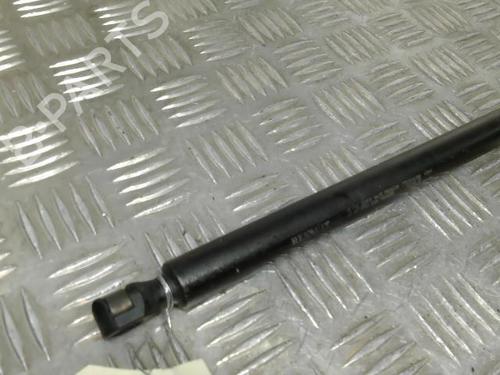 Tailgate lift support RENAULT TWINGO I (C06_) 1.2 (C066, C068) | BP21738244C138 