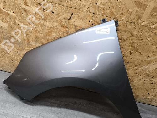Used Left front fenders RENAULT GRAND SCÉNIC III (JZ0/1_) 1.9 dCi (JZ0J, JZ0N, JZ1K, JZ1S) (131 hp) 22010163