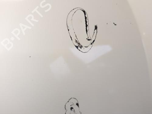 Hood RENAULT KANGOO Express (FC0/1_) 1.5 dCi (FC07, FC1R) | BP29120386C1