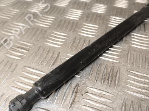 Used Hood lift support Hood lift support DACIA SANDERO II 1.2 (75 hp) 22197933 22197933