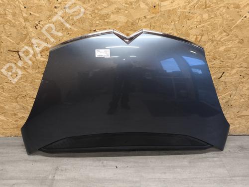 Hood CITROËN C4 Grand Picasso I (UA_) 2.0 HDi 138 | BP21732802C1