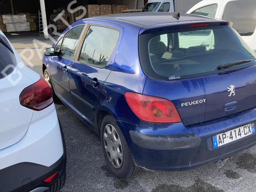 Fuel cap PEUGEOT 307 (3A/C) 1.6 16V | BP21731611C161 