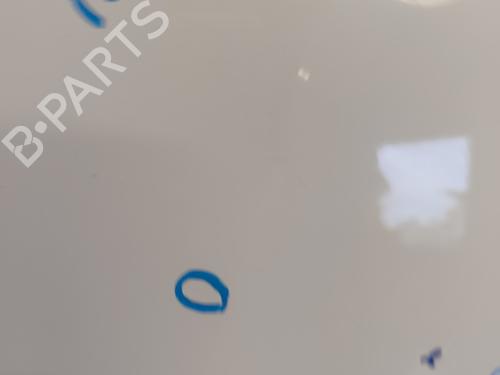 Hood RENAULT MEGANE III Coupe (DZ0/1_) 1.9 dCi (DZ0N, DZ0J, DZ1J, DZ1K) | BP21733427C1 