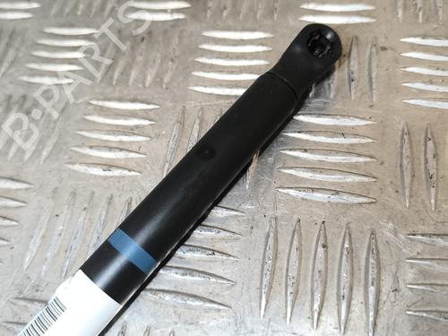 Tailgate lift support CITROËN C2 (JM_) 1.1 | BP21778076C138 