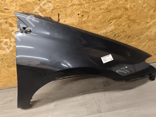 Right front fenders RENAULT LAGUNA III (BT0/1) 2.0 dCi (BT07, BT0J, BT14, BT1A, BT1S) | BP22006571C42 