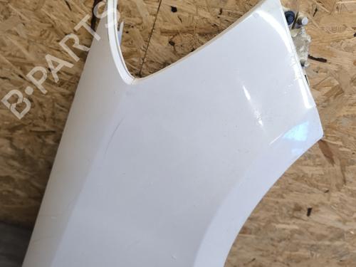 Right front fenders RENAULT CLIO III (BR0/1, CR0/1) 1.5 dCi (C/BR0G, C/BR1G) | BP21748309C42 