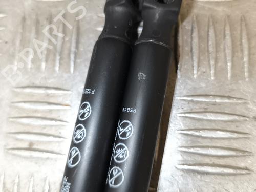 Gassdemper Bakluke RENAULT MEGANE II (BM0/1_, CM0/1_) 1.5 dCi (BM1E, CM1E) | BP26215139C138 