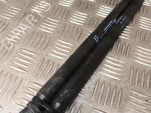 Used Tailgate lift support CITROËN C4 Picasso I MPV (UD_) 1.6 HDi (109 hp) 25653866