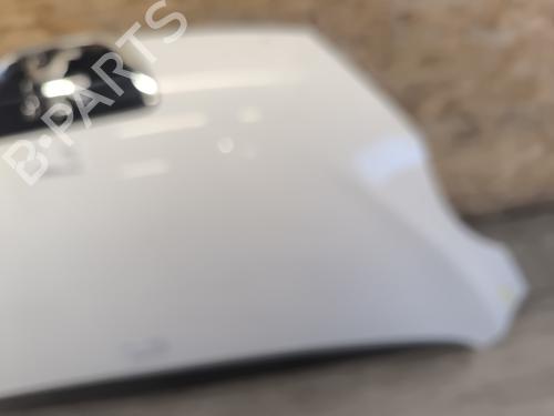 Hood PEUGEOT 107 (PM_, PN_) 1.4 HDi | BP21747653C1