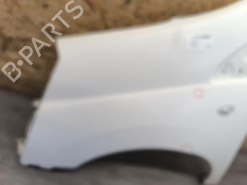 Left front fenders CITROËN JUMPY II Van 2.0 HDi 120 | BP29288195C41