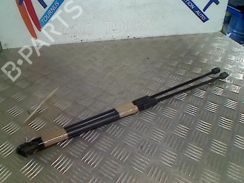Used Tailgate lift support OPEL CORSA D (S07) 1.3 CDTI (L08, L68) (75 hp) 21750752