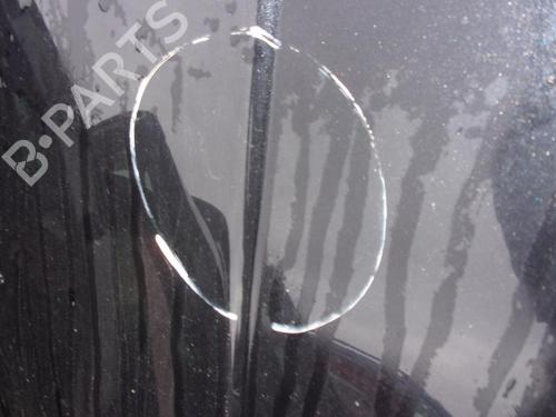 Hood VW GOLF IV (1J1) 1.9 TDI | BP21736661C1 