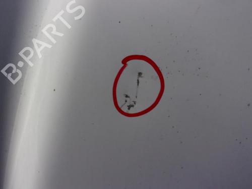 Used Hood CITROËN XSARA (N1) 1.9 D (70 hp) 21736638