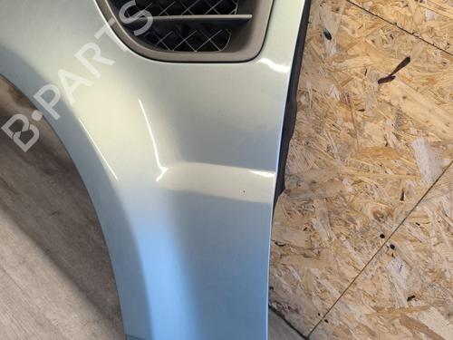 Left front fenders LAND ROVER RANGE ROVER SPORT I (L320) 2.7 D 4x4 | BP22005979C41 