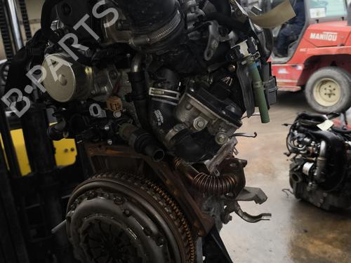 Engine RENAULT MEGANE IV Hatchback (B9A/M/N_) 1.5 dCi 110 (B9A3) | BP22006142M1 - Image 7