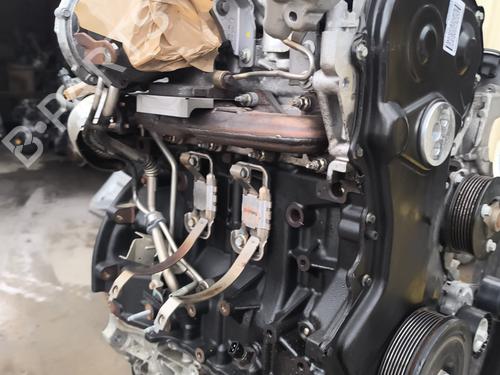 Engine RENAULT LATITUDE (L70_) 2.0 dCi 150 (L70H) | BP22014816M1