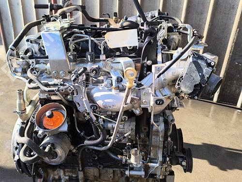 Motor NISSAN NAVARA NP300 (D40) 2.5 dCi 4WD (D40TT, D40T, D40M, D40BB) | BP22008391M1 