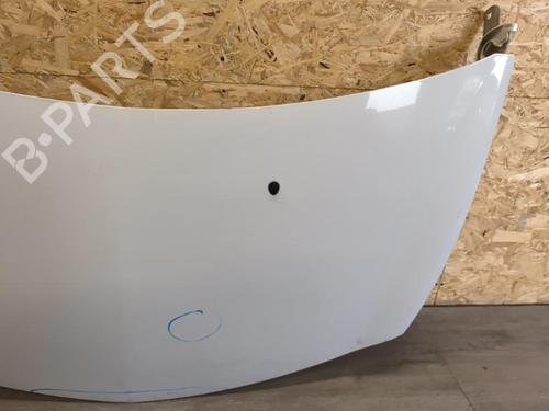 Hood RENAULT CLIO III (BR0/1, CR0/1) 1.5 dCi (C/BR0G, C/BR1G) | BP21737393C1 