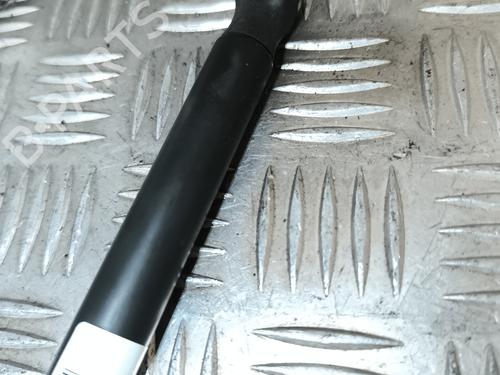 Gasfjeder motorhjelm VW PASSAT B5.5 (3B3) 1.9 TDI | BP22015363C139