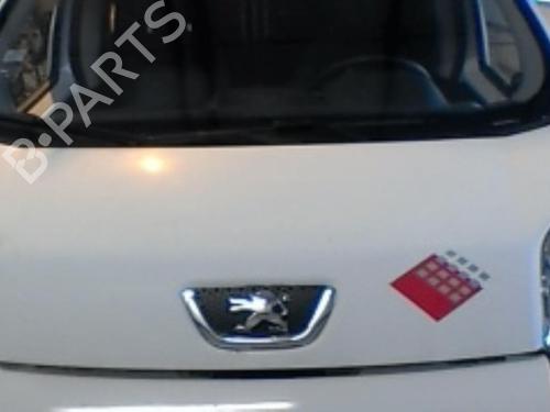 Used Hood PEUGEOT BIPPER (AA_) 1.4 HDi (68 hp) 21752596
