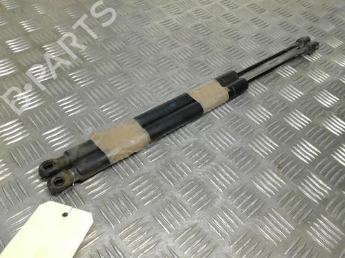 Tailgate lift support RENAULT SCÉNIC II (JM0/1_) 1.9 dCi (JM0G, JM12, JM1G, JM2C) | BP21730617C138 