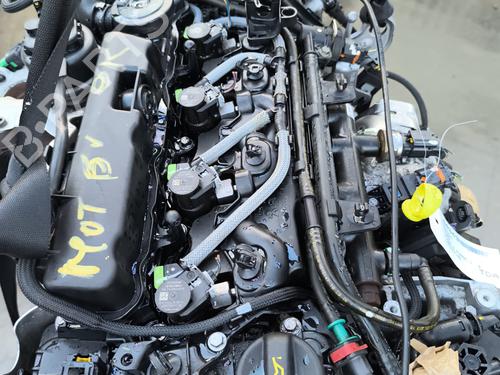 Engine FORD KUGA II (DM2) 2.0 TDCi 4x4 | BP27528186M1 