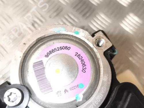 Steering pump PEUGEOT 206+ (2L_, 2M_) 1.4 i | BP27162456M99 