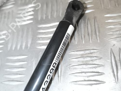 Hood lift support VW GOLF VI (5K1) 2.0 TDI | BP24956801C139