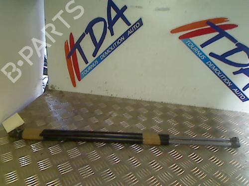 Used Tailgate lift support RENAULT ESPACE IV (JK0/1_) 2.2 dCi (JK0H) (150 hp) 21736181