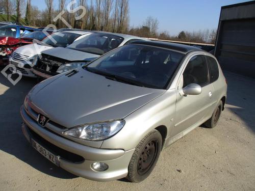 Right mirror PEUGEOT 206 Hatchback (2A/C) 2.0 HDI 90 | BP21752539C27 