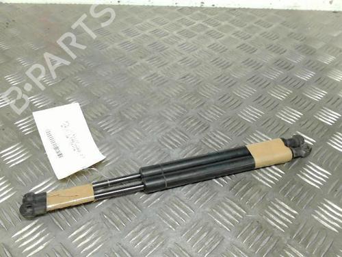 Tailgate lift support BMW 3 (E46) 320 d | BP21742719C138 