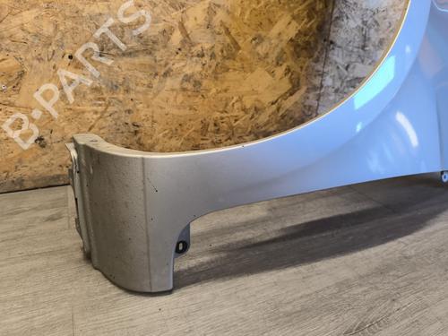 Left front fenders RENAULT CLIO III (BR0/1, CR0/1) 1.5 dCi (BR17, CR17) | BP23771588C41 